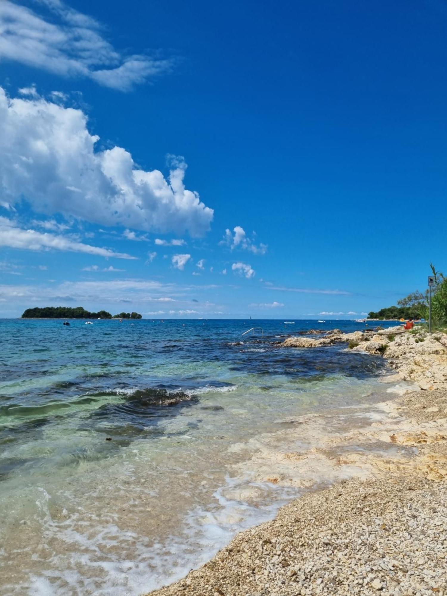 Villa Oskar Istrien Sveti Lovreč Pazenatički Екстериор снимка